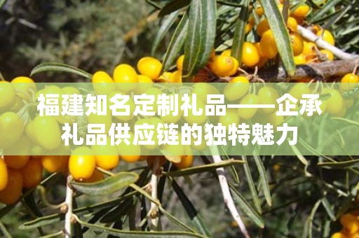 福建知名定制礼品——企承礼品供应链的独特魅力